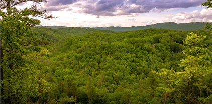 289 Ninebark Road, Boone