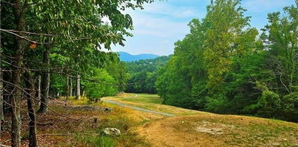 lot #41 Greenstreet Drive, Traphill