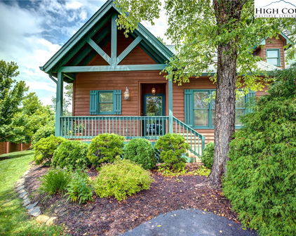 101 Clary Ct Unit 101, Blowing Rock