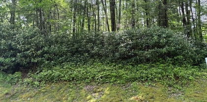 Lot 42 Linville River Lane, Linville
