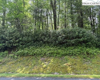 Lot 42 Linville River Lane, Linville