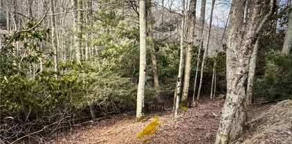 123/125 Locust Ridge Road, Beech Mountain