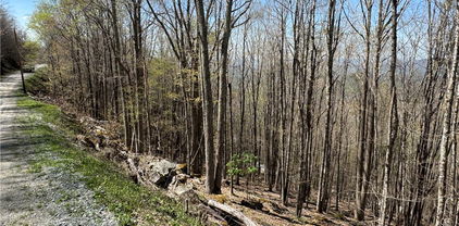 137, 139, 141, and 143 W Blueberry Lane, Beech Mountain