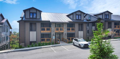 133 Canyon Gap Unit B1, Blowing Rock