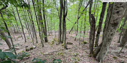 206 Wild Daisy Lane, Beech Mountain