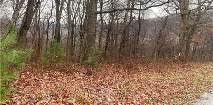 Lot #7 Tom's Knob, Sparta