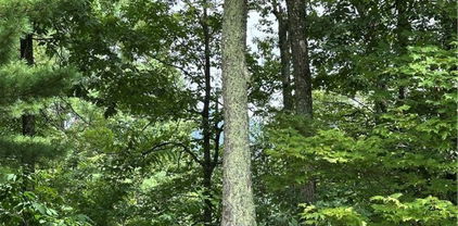 Lot  17 Sunset Ridge Drive, Boone