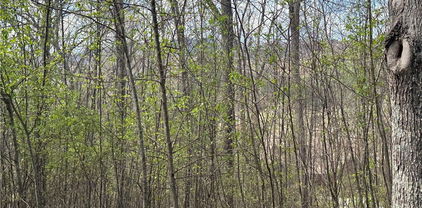 TBD (Lot 24) E Landing Ridge Circle, Jefferson
