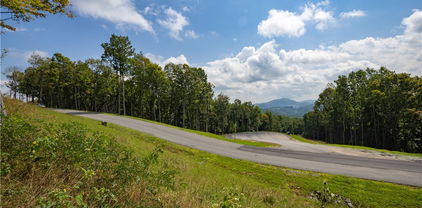 Lot 25 Poplar Forest Drive, Boone