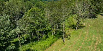 Lot 5 Roost Lane, Banner Elk