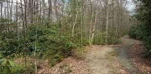 XX Red Clover Road, Beech Mountain