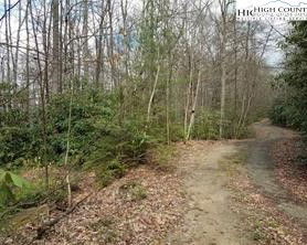 XX Red Clover Road, Beech Mountain