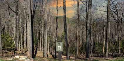 Lot 12 Wildcat Wilderness Parkway, Deep Gap