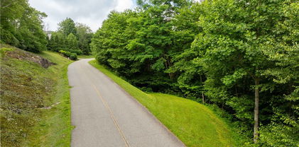 TBD Lot 121 Firethorn Trail, Blowing Rock