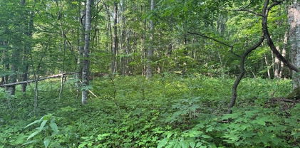 Lot 10 Billy Bob Lane, Creston