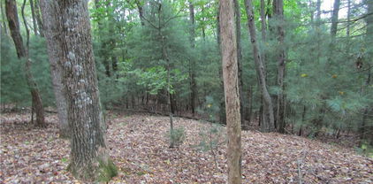 TBD Jobs Rd, Laurel Springs