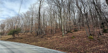 109 Hawthorne Road, Beech Mountain