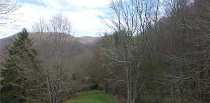TBD/Lot 1 & 2 Trillium Creek Run, Newland