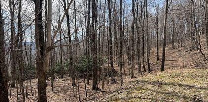 unk Maple Branch Road, West Jefferson