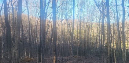 TBD Bluff Ridge Road, West Jefferson