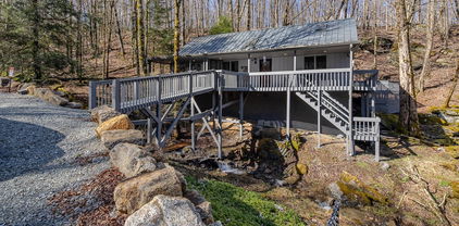 126 Staghorn Hollow Road, Beech Mountain