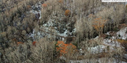 Lot 29 Willow Creek Estates, Vilas
