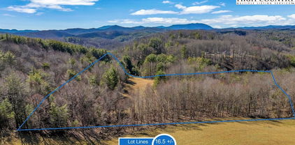 00 Topia Road, Piney Creek