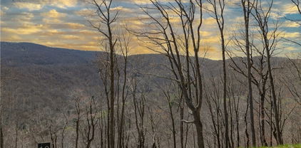 Lot 10 Poplar Forest Drive, Boone