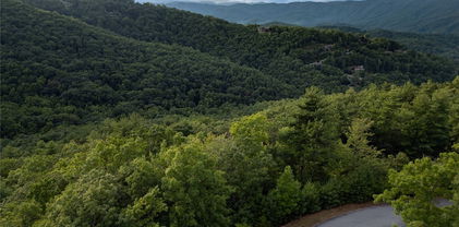 Lot 352 Pepperroot Road, Boone