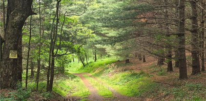 137 C and M Lane, Laurel Springs