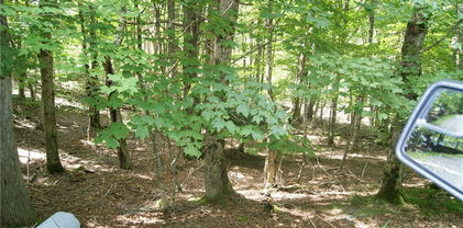109 Lower Grouse Ridge Road, Beech Mountain