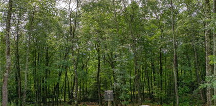 VR1 Red Sky Parkway, Elk Park