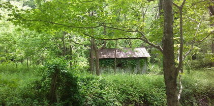 3771 Hwy 421 N Highway, Vilas