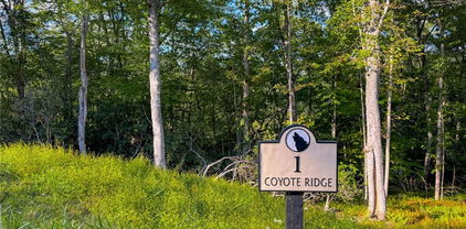 Lot R1 Coyote Trail, Boone