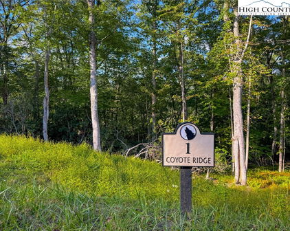 Lot R1 Coyote Trail, Boone
