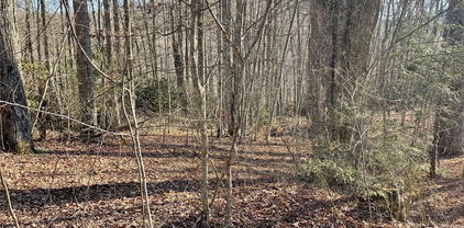14 Jackson Ridge Road, Boone