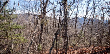 Lot# 502 Timber Rock Lane, Lenoir