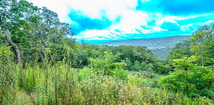 1902 Flattop Cliffs Lane, Linville