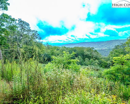 1902 Flattop Cliffs Lane, Linville