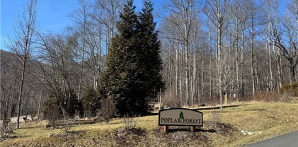 TBD Lot 43 Poplar Forest Drive, Boone