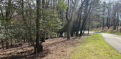 Lot 6 Hickory Hill Lane, Roaring Gap