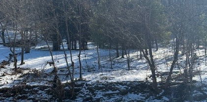 TBD Joe Badger (0.905 acre) Road, Warrensville