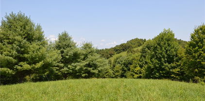 Lot #16 Twin Oaks Mountain Boulevard, Sparta