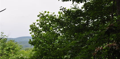 Lot 3 Sec 11 Talons Drive, Boone