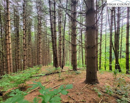 Lot 7 West Mill Creek Est, Warrensville