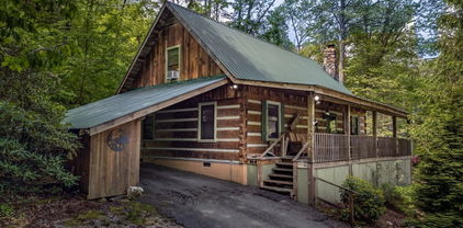 110 Forest Run, Sugar Mountain