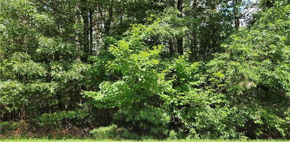 TBD Holly Run, Glade Valley