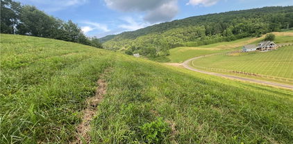 Lot 79 Silver Oak Trail, Butler