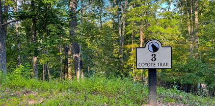 Lot T3 Coyote Trail, Boone