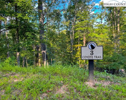 Lot T3 Coyote Trail, Boone